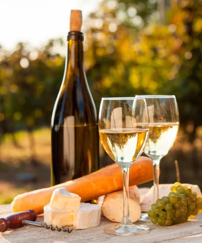 verdicchio castelli jesi 16d8254cf204e47b396d2155950aa4d6