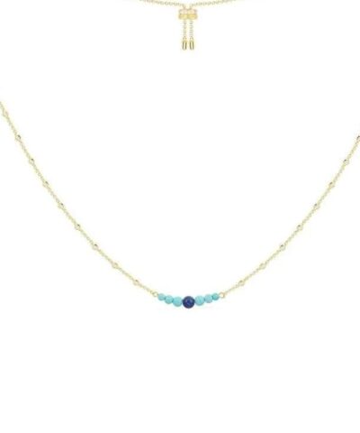 Apm Monaco Dainty Chain Adjustable Necklace-20251116