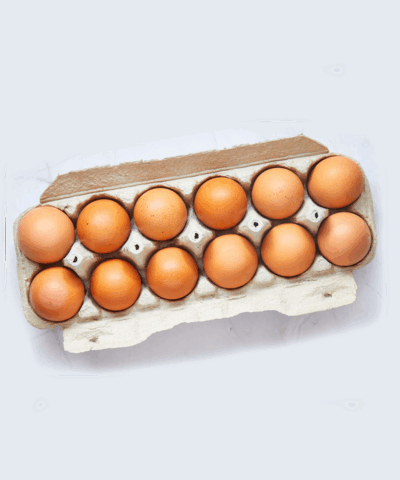 Eggs 002 preview 8d532a48790b4a5190e513de08678e7f