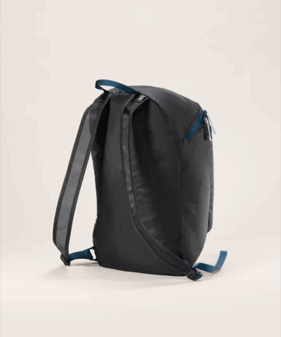 F25 X000009829 Heliad 15 Backpack Lodestar Back 1