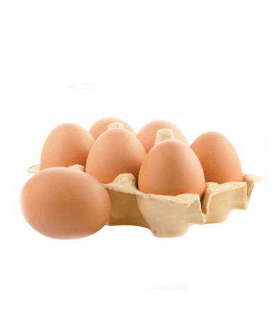 Extra Large Eggs - Image 4