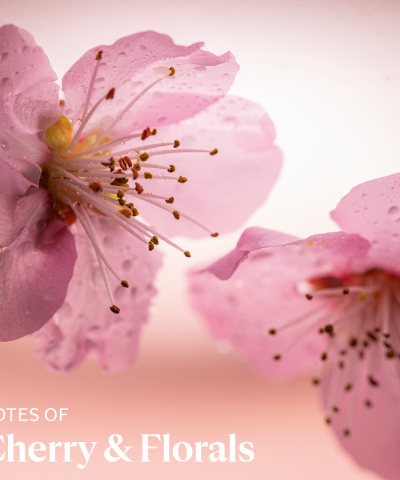 Cherry Blossom Hand Cream 1oz - Image 3