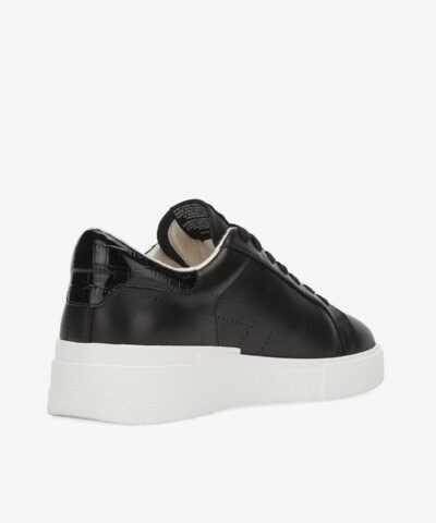 Ash Eco Friendly Fury Bis Low Top Sneakers 20249426 6