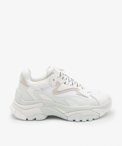 Ash Women's Addict Sneaker-20259258