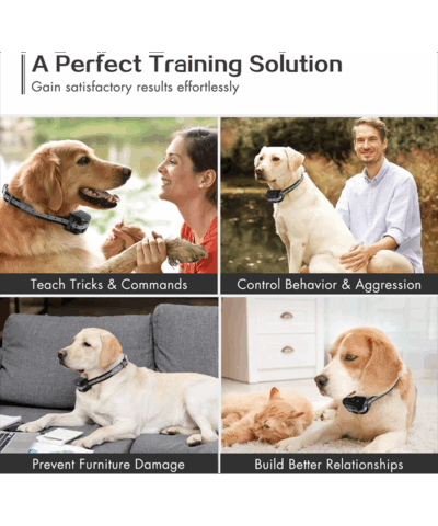 SmartPet P18 Dog Training Collar with Remote - Shock, Vibration, Sound | IP67 Waterproof - Image 6