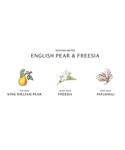 Jo Malone English Pear & Freesia Scent To Go-20314380