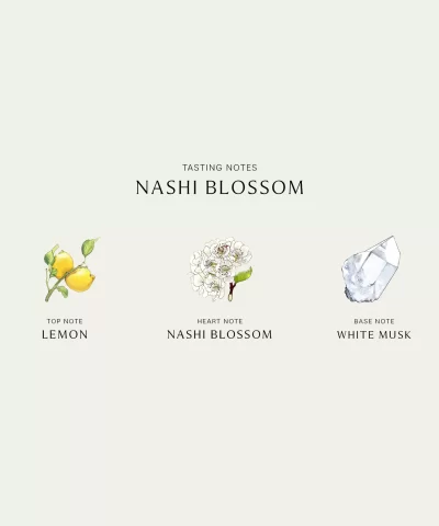 Jo Malone London Nashi Blossom Cologne 3.4 oz 100 ml 20298257 2