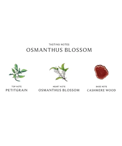 Jo Malone London Osmanthus Blossom 3.4 oz 100 ml 20298248 2