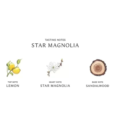 Jo Malone London Star Magnolia Blossom 3.4 oz 100 ml 20298239 3