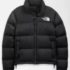 Recycled TNF Black