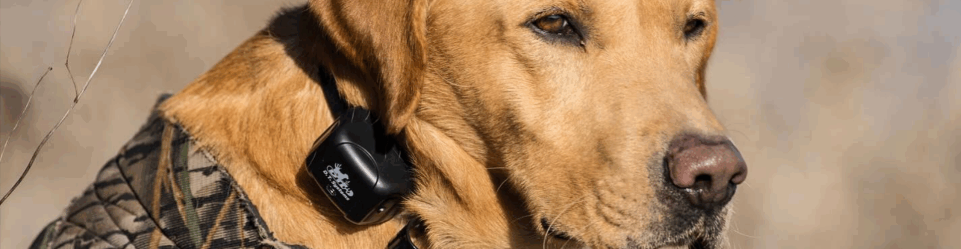 Smartpet