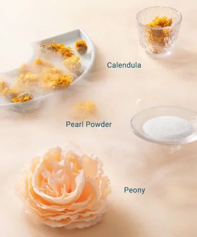 Floral Engraving Phoenix Makeup Palette - Image 21