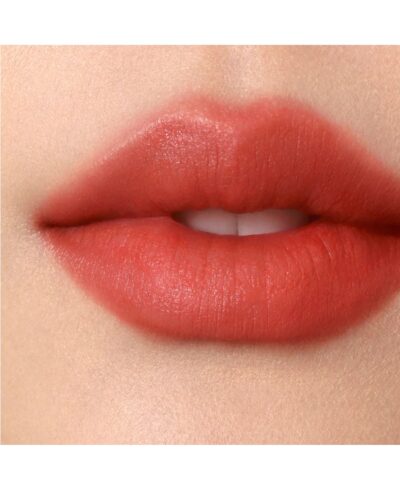 Alternative view of Perfect Diary [Denim Collection] ReadMe Lips 4g
