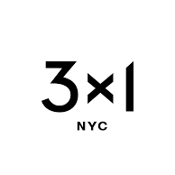 3x1 logo