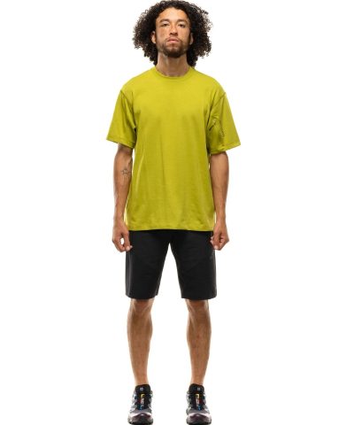 Arcteryx Copal SS Pocket Bird T Shirt Terrarium 1