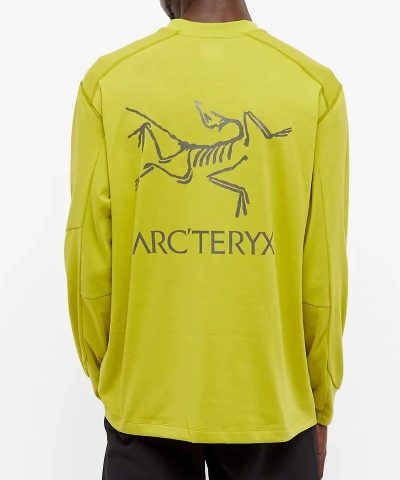 Alternative view of Arc’teryx System A / Copal Long Sleeve Bird Tee Terrarium
