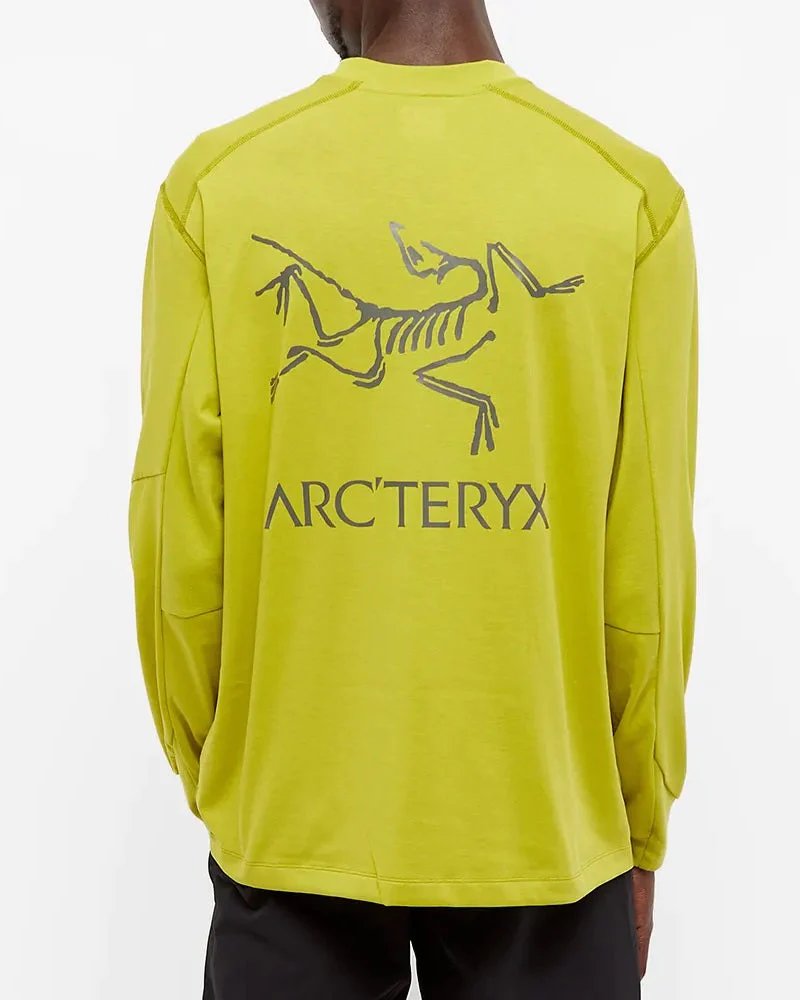 Alternative view of Arc’teryx System A / Copal Long Sleeve Bird Tee Terrarium