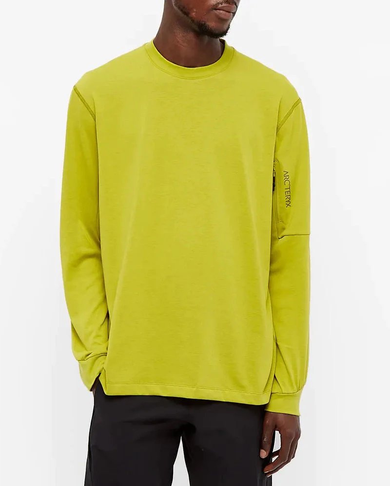 Arc’teryx System A / Copal Long Sleeve Bird Tee Terrarium-20243821