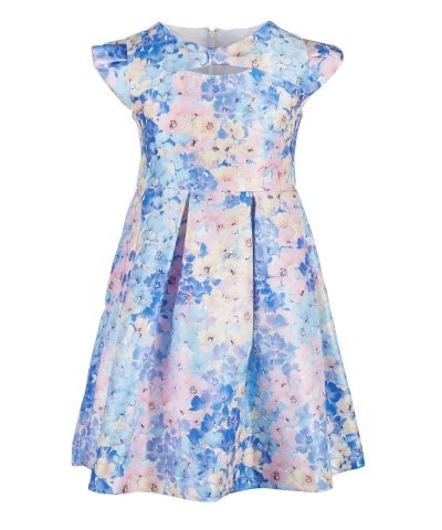 Bonnie Jean Toddler Girls Floral-Print Cap-Sleeve Dress-20248885