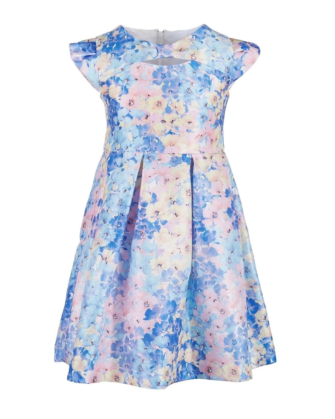 Bonnie Jean Toddler Girls Floral-Print Cap-Sleeve Dress-20248885