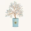 Joyful Radiance Aquamarine March