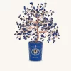 Intuitive Charm Lapis September