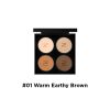 01 Warm Earthy Brown