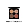 03 Red Earthy Brown