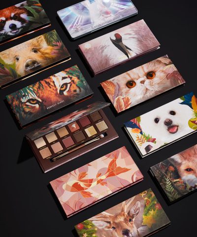 Perfect Diary Explorer Eyeshadow Palette - Image 7