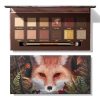13 Red Fox