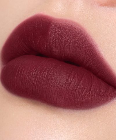 Perfect Diary No Caption Lip Pigment 12092506 1 1