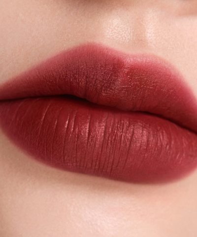 Perfect Diary No Caption Lip Pigment 12092509 3 1