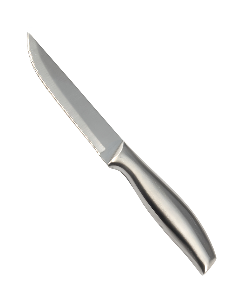 Stainless Steel Steak Knife Set | Razor-Sharp Serrated Edge & Dishwasher Safe