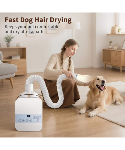 1000W Multifunctional Quilt Dryer - Compact Electric Clothes, Shoes & Pet Hair Dryer with Anti-Mite Dehumidification