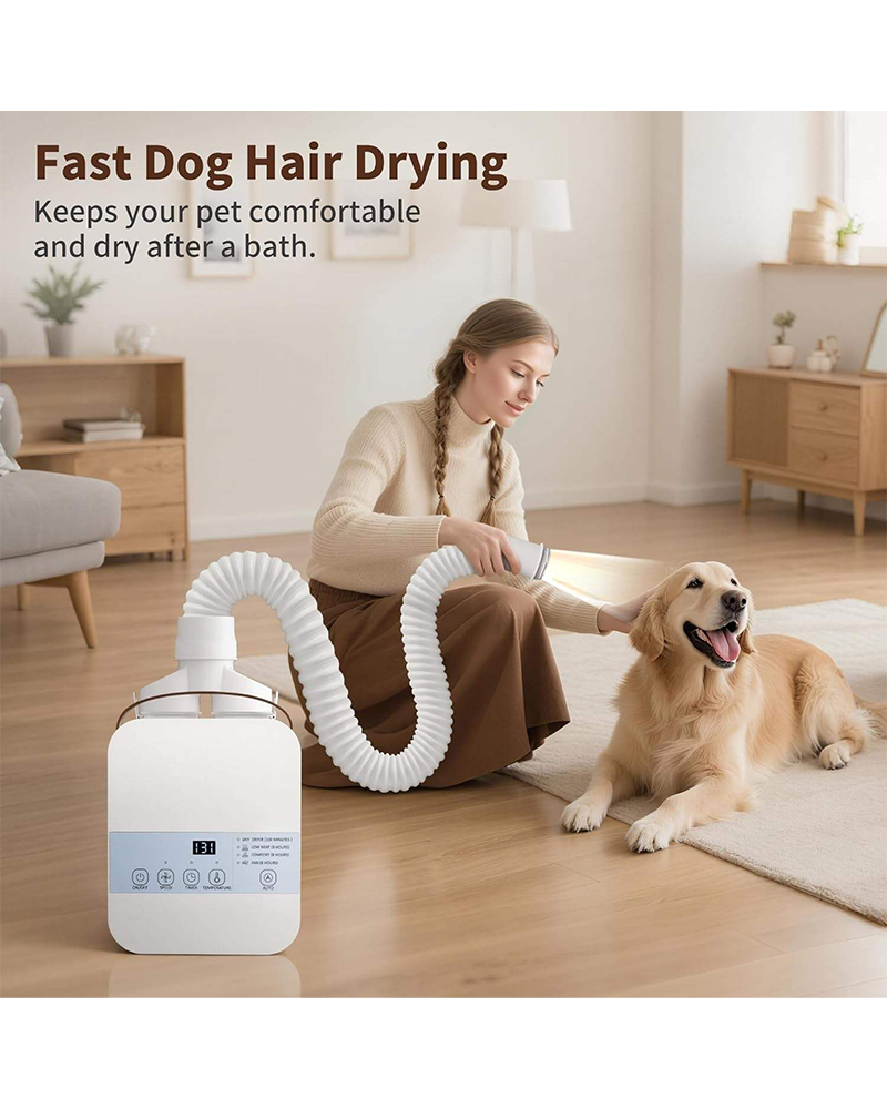 1000W Multifunctional Quilt Dryer - Compact Electric Clothes, Shoes & Pet Hair Dryer with Anti-Mite Dehumidification